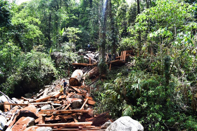 Hiện trường vụ phá rừng ở xã Hố Mít.