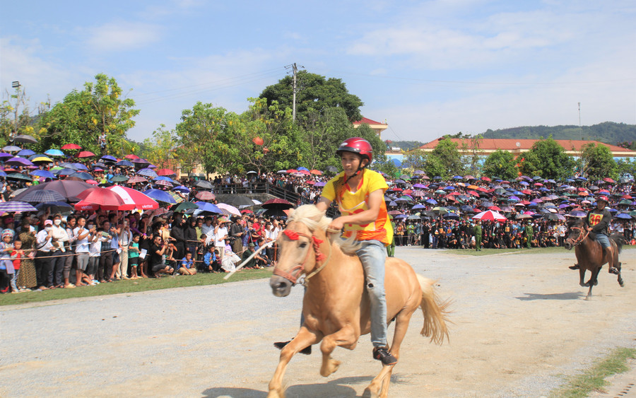 Giải đua ngựa là hoạt động nằm trong chuỗi sự kiện Festival cao nguyên trắng Bắc Hà mùa hè năm 2023. Giải đua ngựa là hoạt động nằm trong chuỗi sự kiện Festival cao nguyên trắng Bắc Hà mùa hè năm 2023.