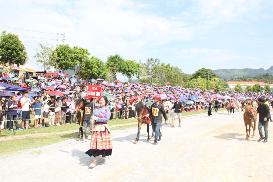 Đoàn ngựa xã Tả Van Chư, huyện Bắc Hà diễu hành tại Giải đấu. Đoàn ngựa xã Tả Van Chư, huyện Bắc Hà diễu hành tại Giải đấu.