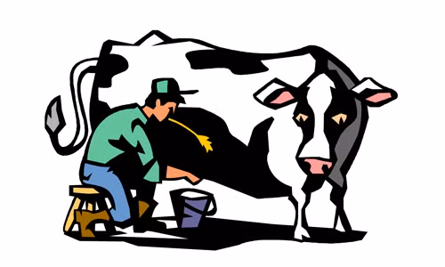 Lý do không nên mua xe đạp thay cho bò