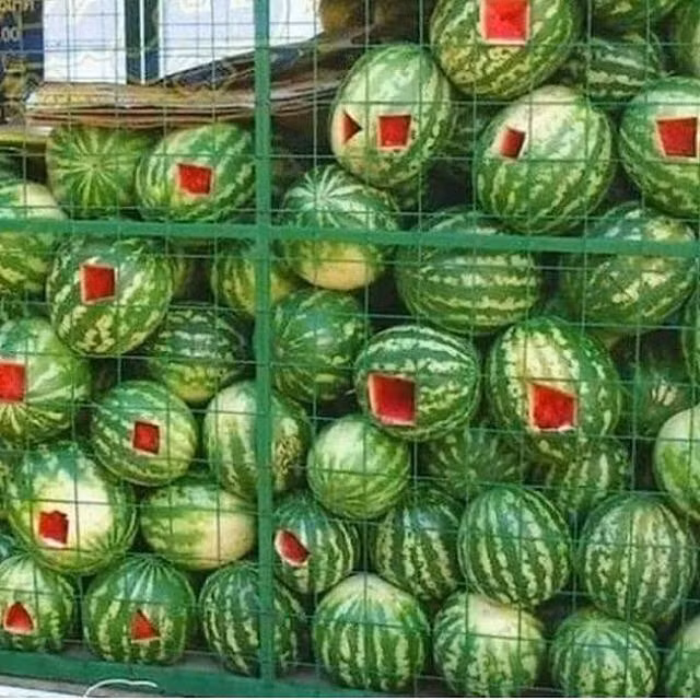 Những hình ảnh chứng minh cuộc sống xung quanh chúng ta thật lắm điều kỳ dị nhìn mãi cũng không hiểu chuyện gì đang xảy ra - Hình 22