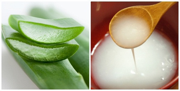 bat-mi-4-cach-tri-tan-nhang-hieu-qua-tai-nha-tu-thien-nhien-giadinhvietnam.com 3 bat-mi-4-cach-tri-tan-nhang-hieu-qua-tai-nha-tu-thien-nhien-giadinhvietnam.com 3