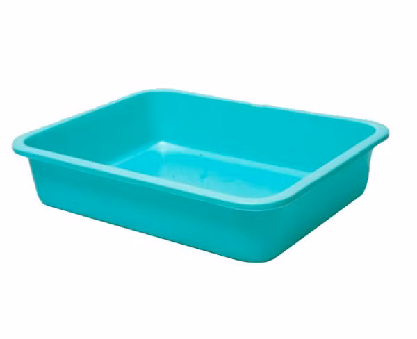 -cach-trong-rau-mam-khong-can-dat-tai-nha--giadinhvietnam.com 2