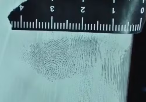 Án mạng từ mối tình đơn phương của ông lão 65 tuổi hình ảnh 3 an mang tu moi tinh don phuong cua ong lao 65 tuoi hinh anh 3