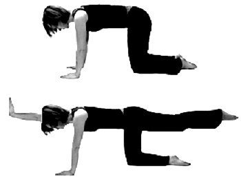 Bài tập siêu đơn giản bác sỹ hướng dẫn cho người muốn khoẻ cột sống thắt lưng ảnh 15 Giữ thăng bằng.