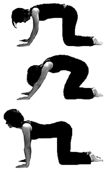 Bài tập siêu đơn giản bác sỹ hướng dẫn cho người muốn khoẻ cột sống thắt lưng ảnh 14 Di động cột sống.