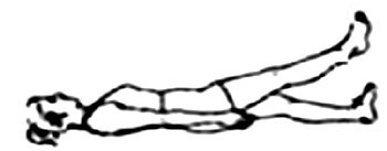 Bài tập siêu đơn giản bác sỹ hướng dẫn cho người muốn khoẻ cột sống thắt lưng ảnh 7 Động tác giãn cơ dạng.