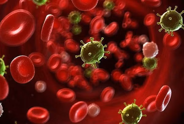 4 chất dinh dưỡng không thể thiếu với cơ thể, vắng 1 có thể gây ra 4 bệnh ung thư nguy hiểm-1