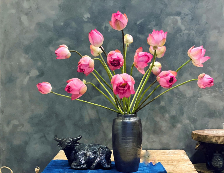 Khi mua sen mọi người nhớ chọn những bông mở đầu sáo thì sen mới nở, cắt non sen ngâm dưỡng đủ cũng không nở được.