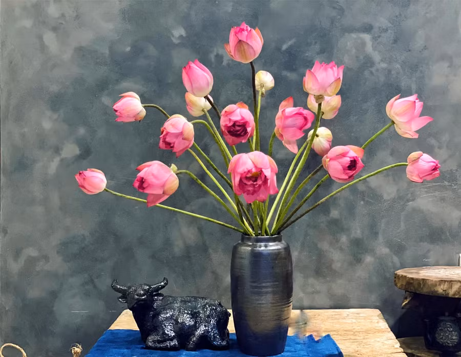 Khi mua sen mọi người nhớ chọn những bông mở đầu sáo thì sen mới nở, cắt non sen ngâm dưỡng đủ cũng không nở được.