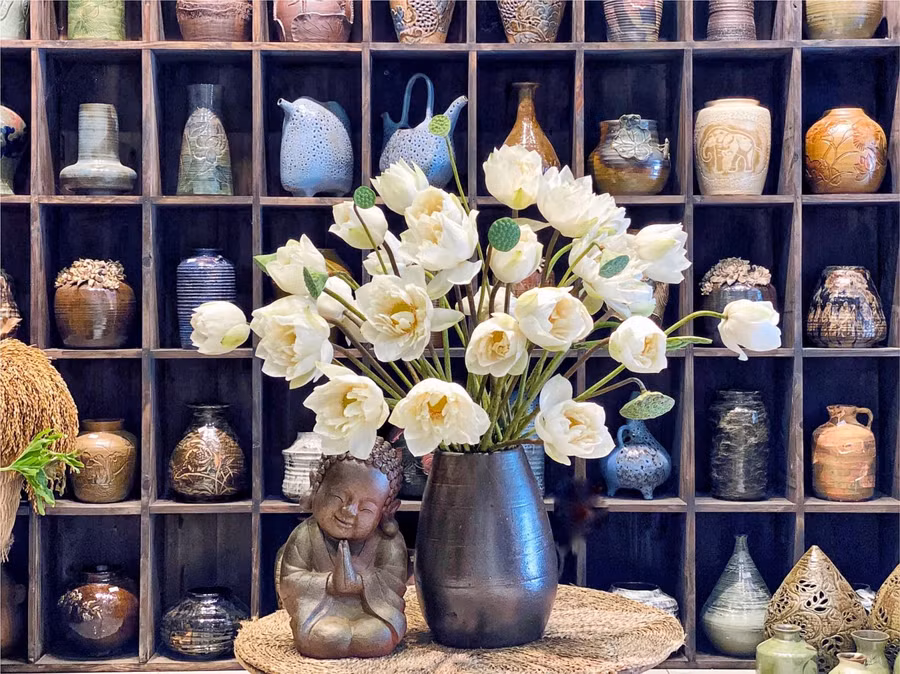 Sen này đã nở sáng, tối cụp lại.