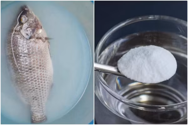 Cách bảo quản cá tươi lâu, mùi vị còn nguyên mà không cần đến tủ lạnh