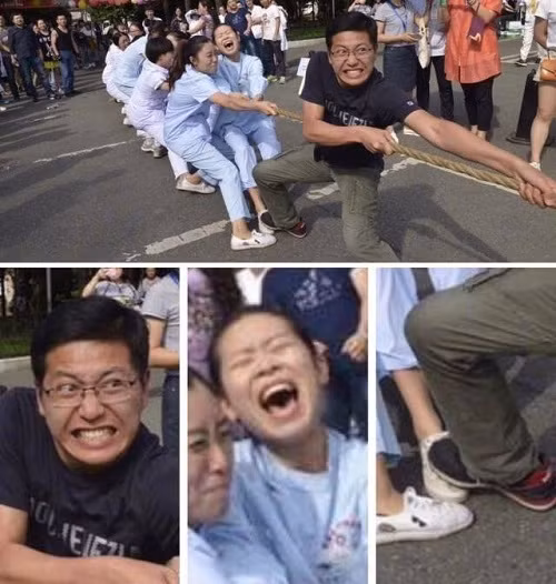 Những ảnh hài hước trong ngày