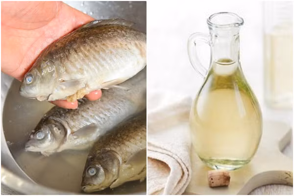 Cách bảo quản cá tươi lâu, mùi vị còn nguyên mà không cần đến tủ lạnh