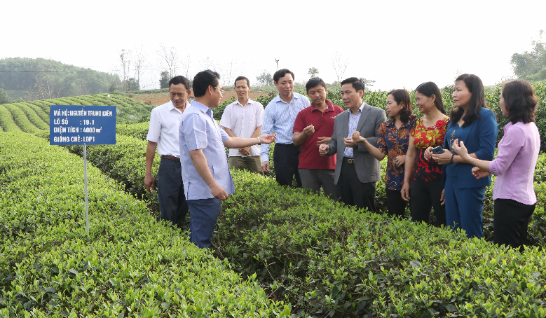 Đã có nhiều đề tài, dự án KHCN được thực hiện nhằm nâng cao năng xuất chất lượng và gia tăng giá trị sản phẩm của cây chè Thái Nguyên. Đã có nhiều đề tài, dự án KHCN được thực hiện nhằm nâng cao năng xuất chất lượng và gia tăng giá trị sản phẩm của cây chè Thái Nguyên.