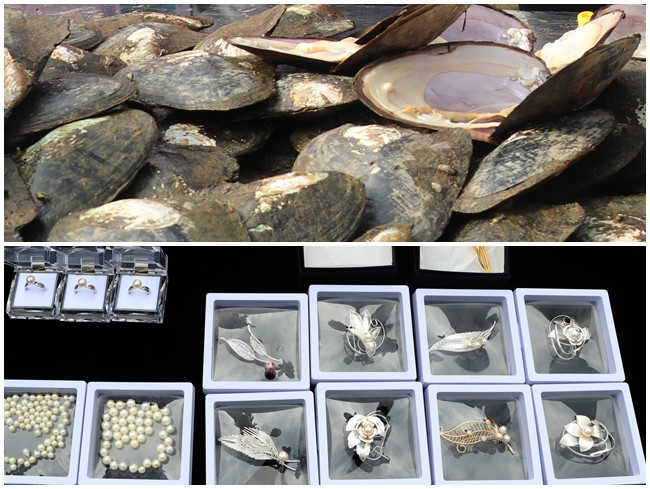 Ngọc từ trai nước ngọt nuôi trồng tại Thái Nguyên bước đầu được phía doanh nghiệp chế tác thành một số sản phẩm trang sức tung ra thị trường. Ngọc từ trai nước ngọt nuôi trồng tại Thái Nguyên bước đầu được phía doanh nghiệp chế tác thành một số sản phẩm trang sức tung ra thị trường.