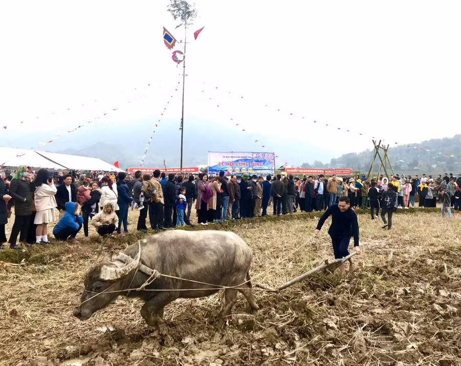 Nghi thức cày ruộng trong Lễ hội.