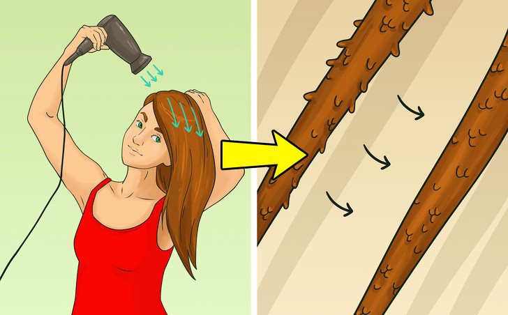 - Ảnh 2.  - Ảnh 2.