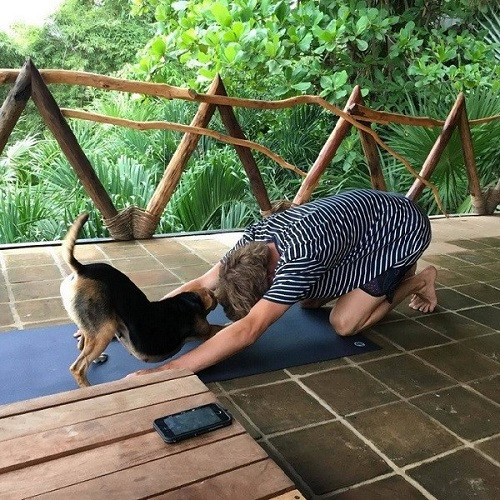 Yoga đôi cho chủ và cún cưng. Yoga đôi cho chủ và cún cưng.