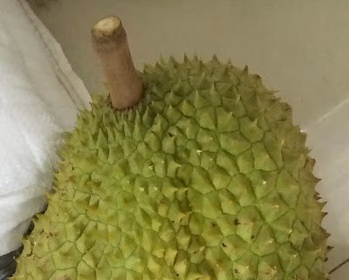 mach ban cach chon sau rieng chuan ngon, chi liec qua cung biet hinh anh 4