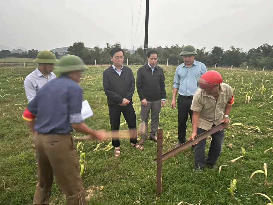 Lãnh đạo huyện Cẩm Xuyên và lực lượng chức năng tiến hành cắm mốc.