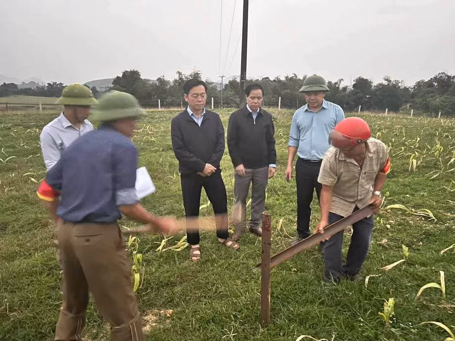 Lãnh đạo huyện Cẩm Xuyên và lực lượng chức năng tiến hành cắm mốc.