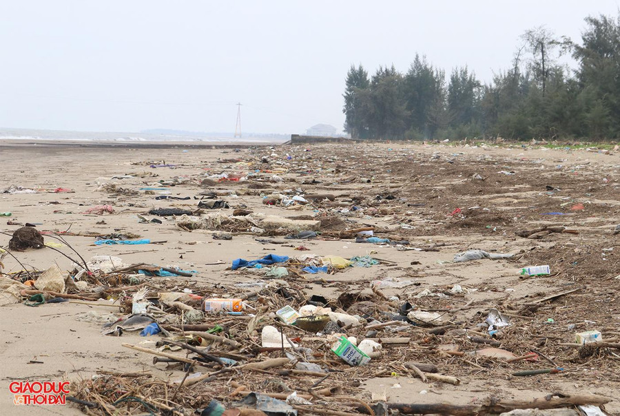 Khu vực bãi biển Cửa Lò thuộc dự án Golf biển Cửa Lò tràn ngập rác thải sinh hoạt.