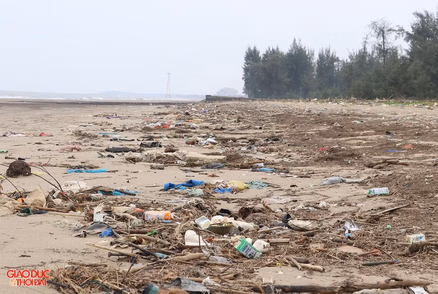 Khu vực bãi biển Cửa Lò thuộc dự án Golf biển Cửa Lò tràn ngập rác thải sinh hoạt.
