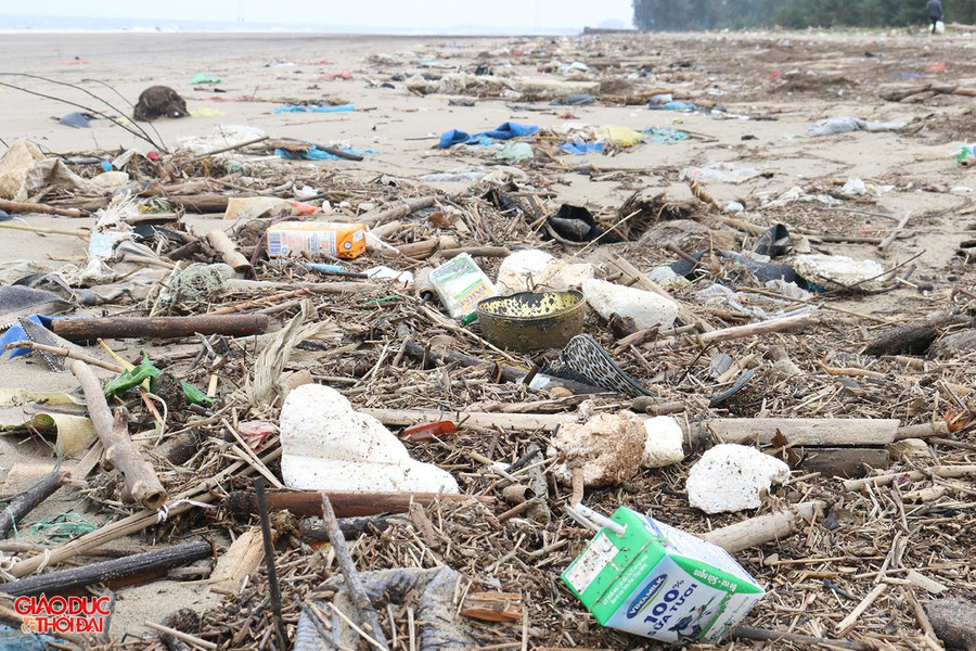 Bờ biển đẹp bị Công ty CP Golf biển Cửa Lò bỏ hoang không đầu tư, dọn dẹp khiến rác thải bủa vây. Trong khi đó, vào mùa du lịch du khách đổ về Cửa Lò rất đông nhưng thiếu chỗ vui chơi, tắm biển, dã ngoại.