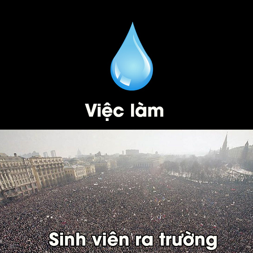 Siêu anh hùng đánh nhau tơi bời chỉ vì một bài toán ảnh 7 Lý do sinh viên ra trường thất nghiệp.