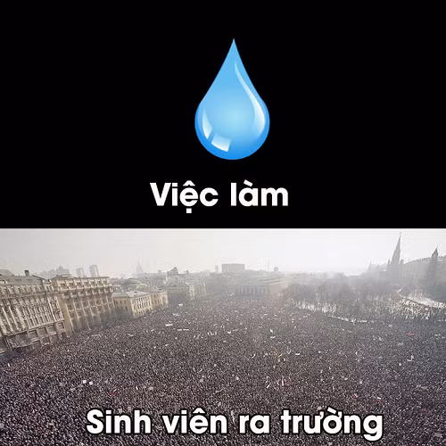 Lý do sinh viên ra trường thất nghiệp.