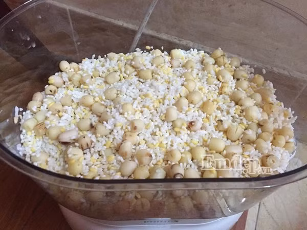 Nấu xôi đỗ xanh sen dừa cho bữa sáng ngày cuối tuần Nau xoi do xanh sen dua cho bua sang ngay cuoi tuan