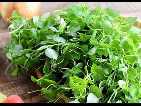 Loài rau ở Việt Nam cho gia súc ăn nhưng ở các nước châu Âu là  Loài rau ở Việt Nam cho gia súc ăn nhưng ở các nước châu Âu là