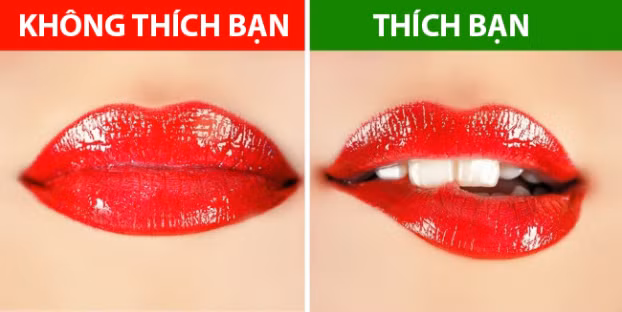  So với đàn ông thì phụ nữ để lộ nhiều ngôn ngữ hình thể khi họ thích một người. Ví dụ nếu cô ấy thường xuyên liếm môi hay cắn môi, hay nghịch tóc hơn khi ở bên ai đó thì có khả năng cao là cô ấy đang muốn quyến rũ người đó 