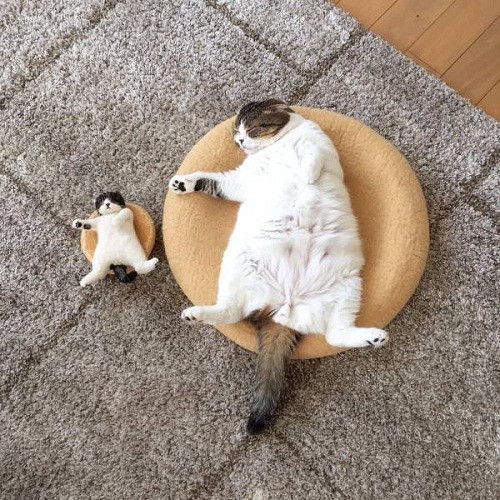 Mẹ nào con nấy.