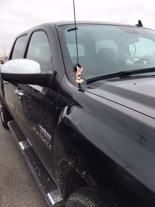 Xế xịn, gái xinh đều có đủ đầy.