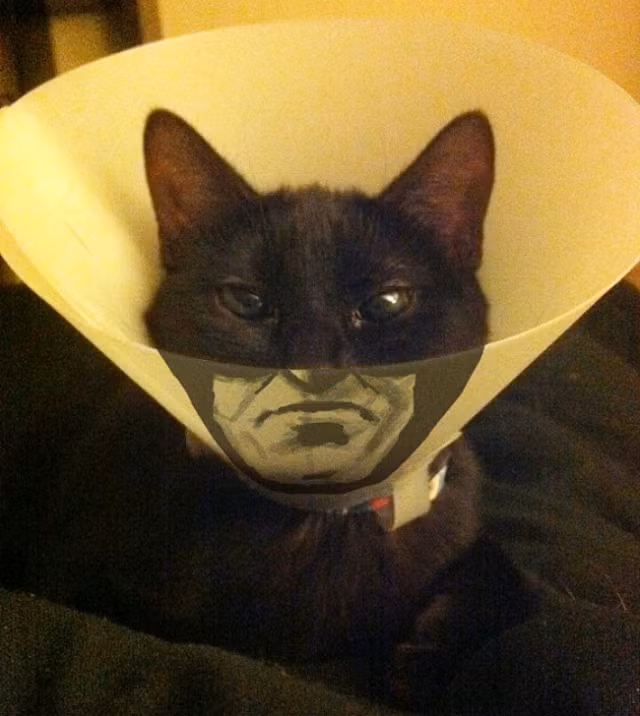 Ngỡ ngàng với những khoảnh khắc trùng hợp khó tin