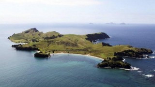 Mốt chơi ngông thời thượng của đại gia Trung Quốc ảnh 1 1