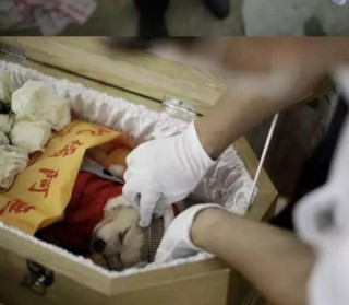 Mốt chơi ngông thời thượng của đại gia Trung Quốc ảnh 4 4