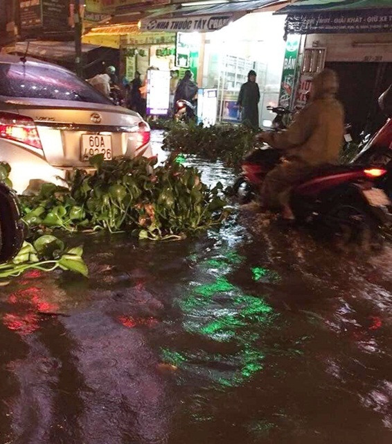Mưa kéo dài suốt ngày 25/11, khiến nhiều tuyến đường tại Quận 8 biến thành sông, Xe chạy trên đường với bèo trôi lềnh bềnh như trên sông