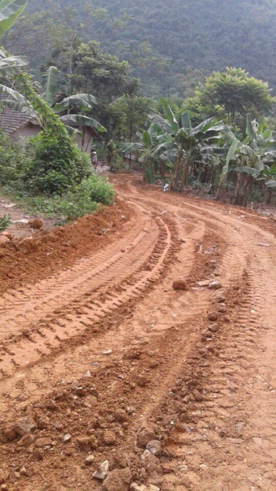 Con đường dẫn vào điểm trường bản Nhuần khi chưa được đầu tư. Con đường dẫn vào điểm trường bản Nhuần khi chưa được đầu tư.