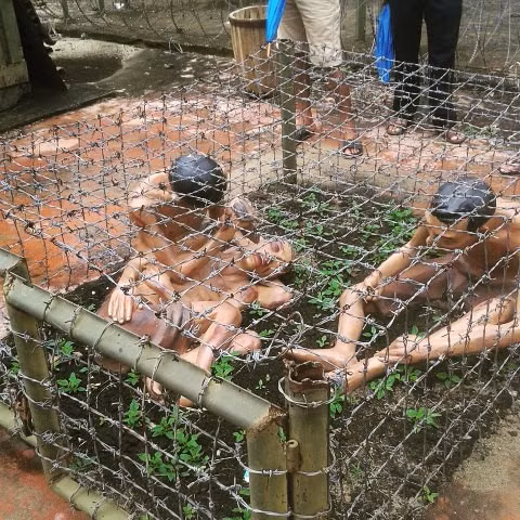 10 ly do khien dai gia An Do chon Phu Quoc la noi to chuc tiec cuoi hinh anh 13 