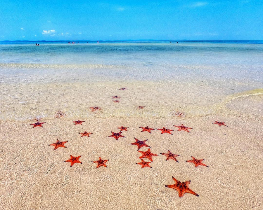 10 ly do khien dai gia An Do chon Phu Quoc la noi to chuc tiec cuoi hinh anh 3 