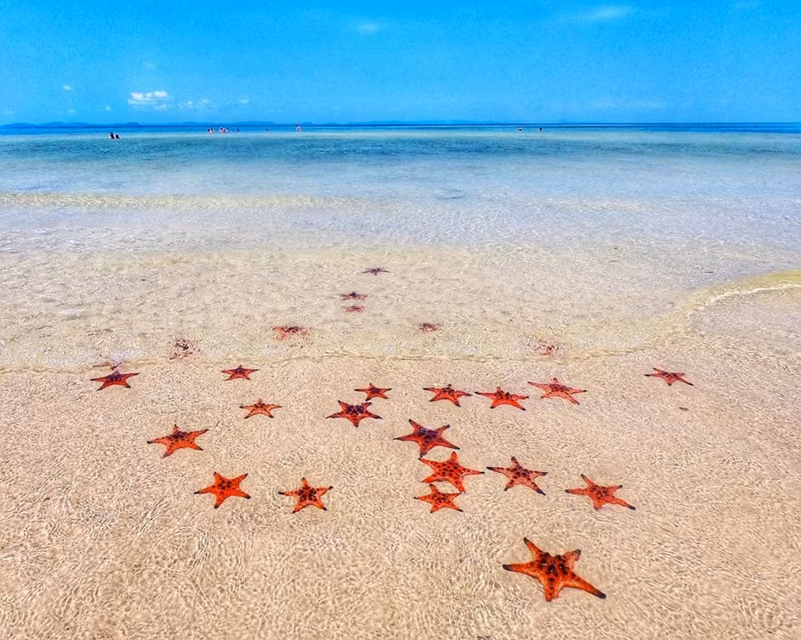 Bãi biển đẹp: Với đường bờ biển dài khoảng 150 km, bãi cát mềm mại, hoang sơ, Phú Quốc là một trong những địa điểm tuyệt đẹp của Việt Nam. Trong đó, bãi Khem, bãi Sao, bãi Dài là những chốn được nhiều du khách ưa chuộng, lựa chọn để check-in. Nơi đây cũng là chốn lý tưởng để tổ chức một bữa tiệc đám cưới xa hoa, đáng nhớ cho nữ đại gia Ấn Độ bên bờ biển thơ mộng. Ảnh: The_adrienn. 10 ly do khien dai gia An Do chon Phu Quoc la noi to chuc tiec cuoi hinh anh 3