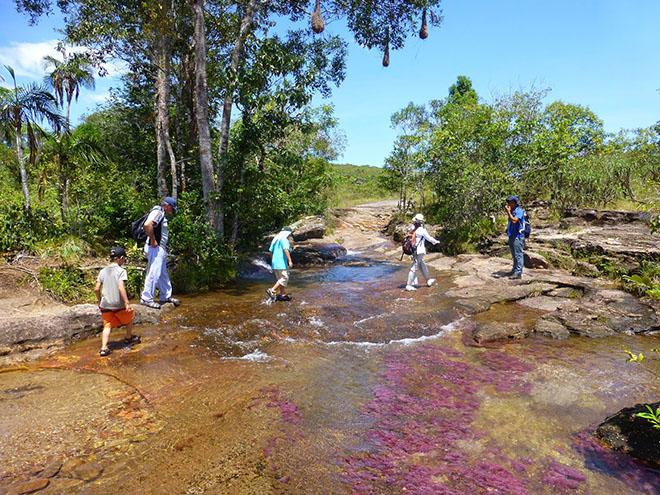 Chiêm ngưỡng vẻ đẹp kỳ bí của “dòng sông lạc khỏi thiên đường” ảnh 15 chiem nguong ve dep ky bi cua “dong song lac khoi thien duong” - 16