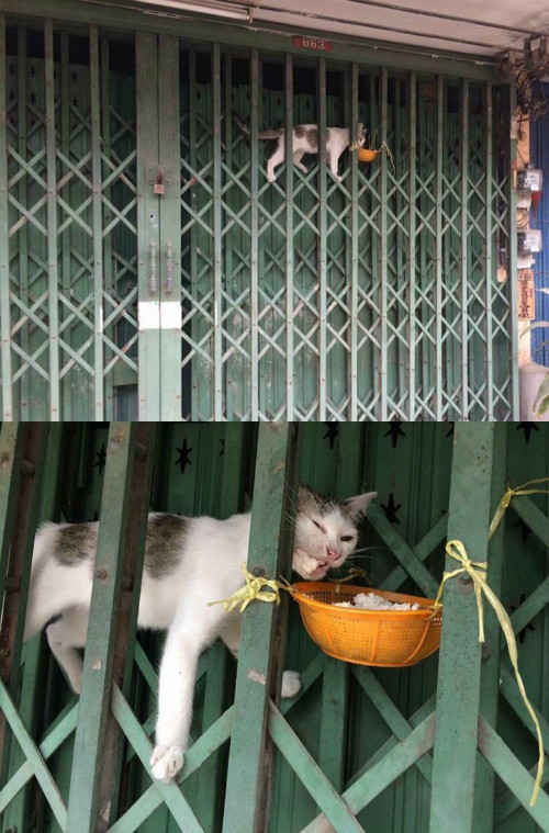 10-anh-hai-hot-nhat-facebook-trong-ngay-6