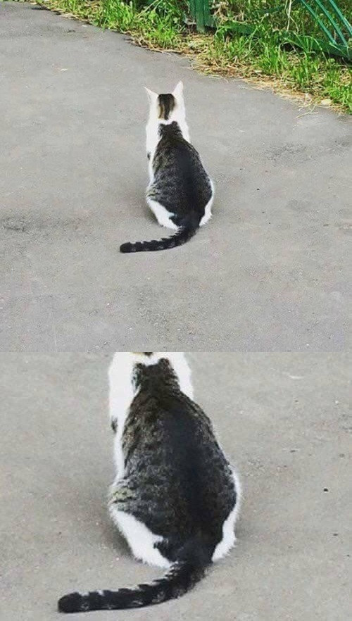 10-anh-hai-hot-nhat-facebook-trong-ngay-3