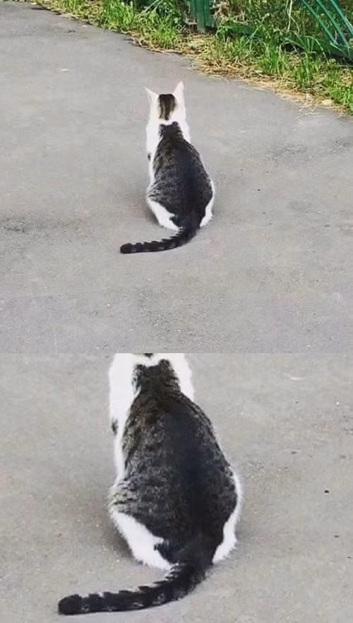 10-anh-hai-hot-nhat-facebook-trong-ngay-3