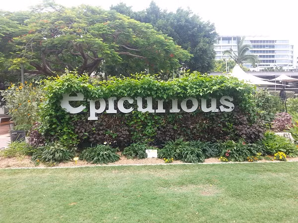 Có một công viên tràn ngập rau xanh và rau ở đây được phát hoàn toàn miễn phí - Ảnh 5.