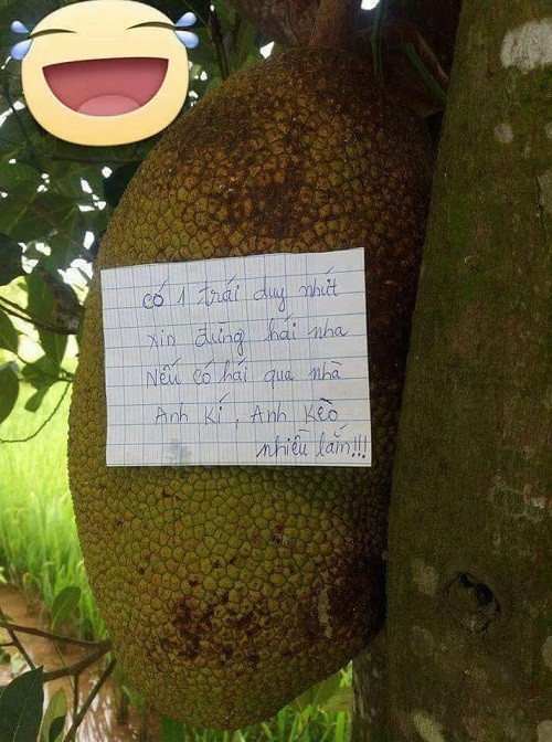 10-anh-hai-hot-nhat-facebook-trong-ngay-5